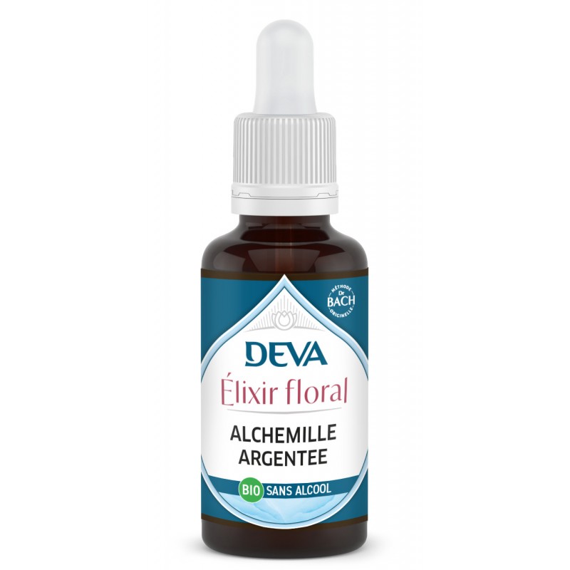 Alchemille argentee