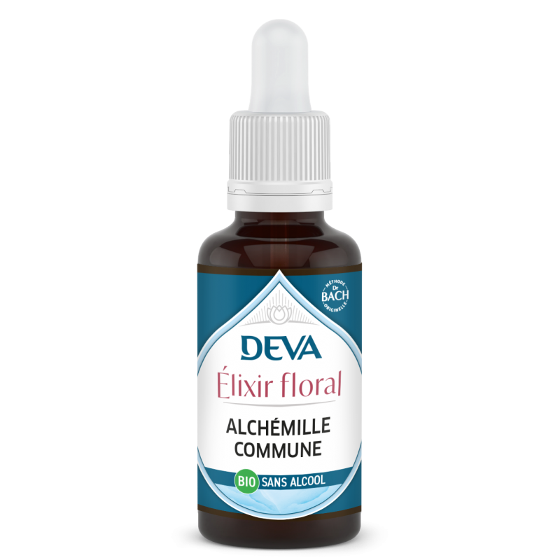 Alchemille commune