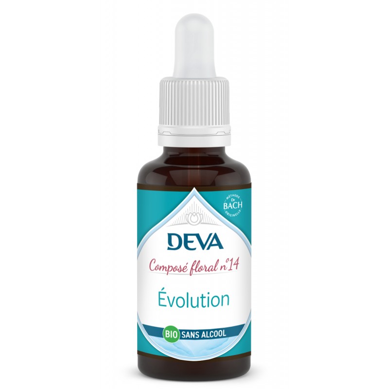 14- Évolution