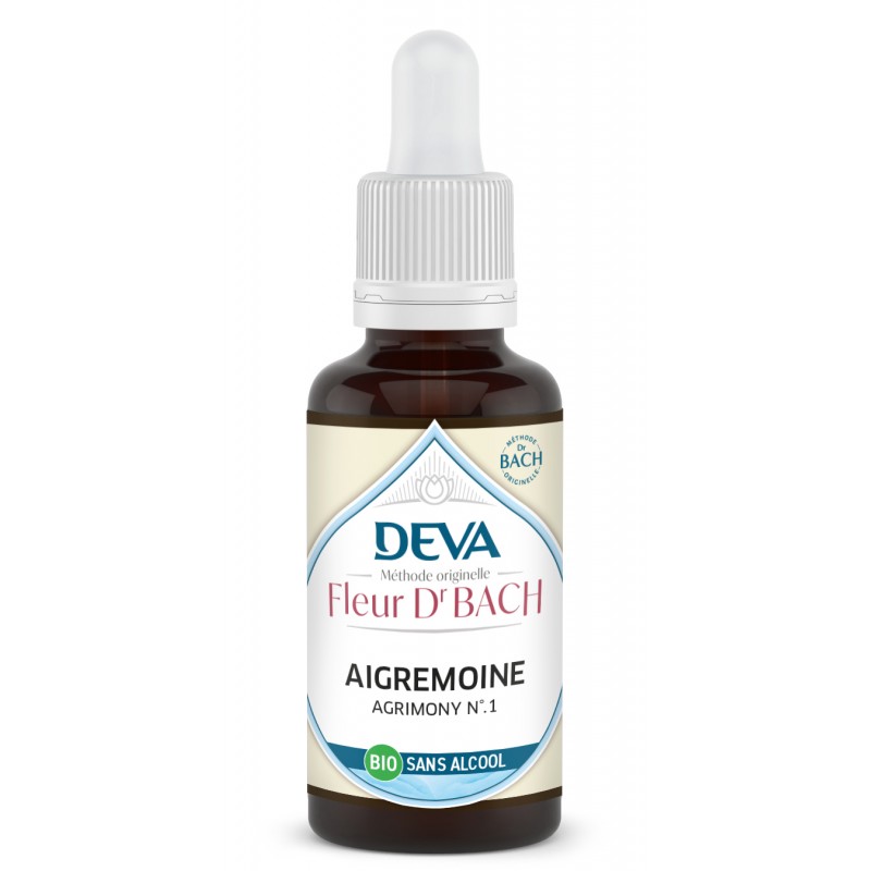 Aigremoine - Agrimony n°1