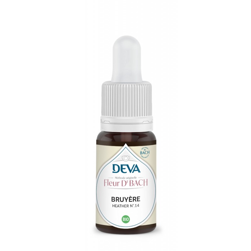 Bruyère - Heather n°14