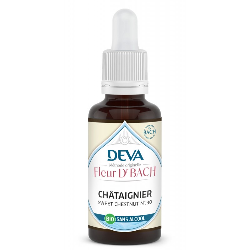 Chataignier - Sweet chestnut n°30