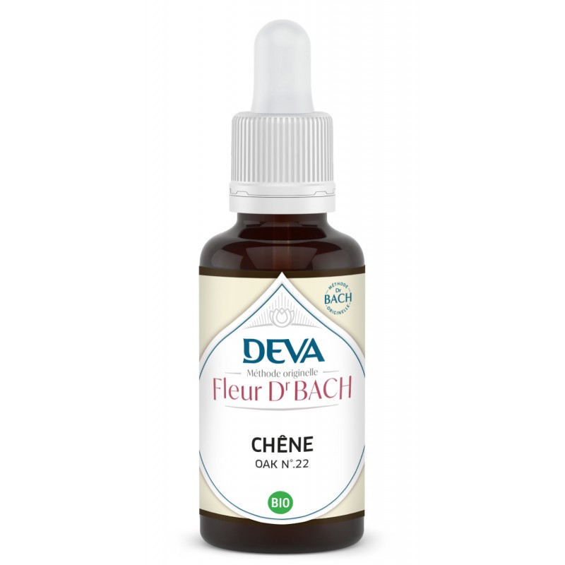 Chene - Oak n°22