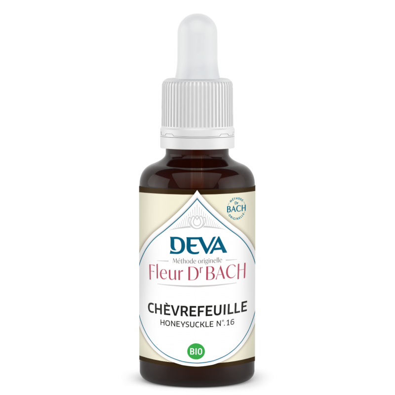 Chevrefeuille - Honeysuckle n°16
