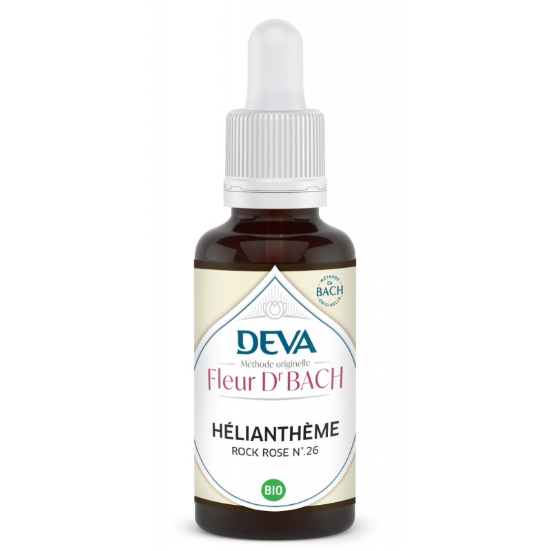 Heliantheme - Rock rose n°26