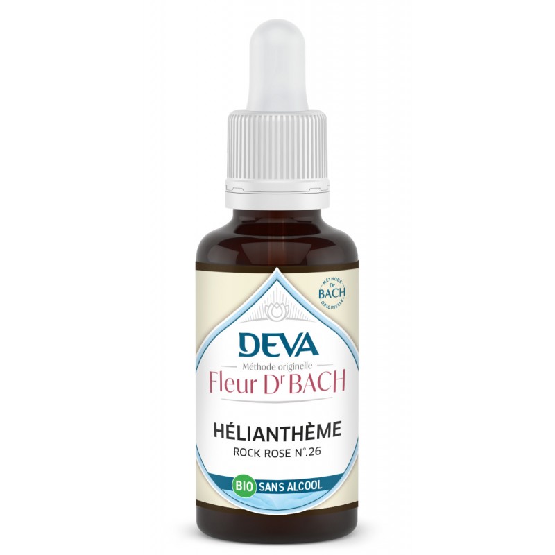 Heliantheme - Rock rose n°26