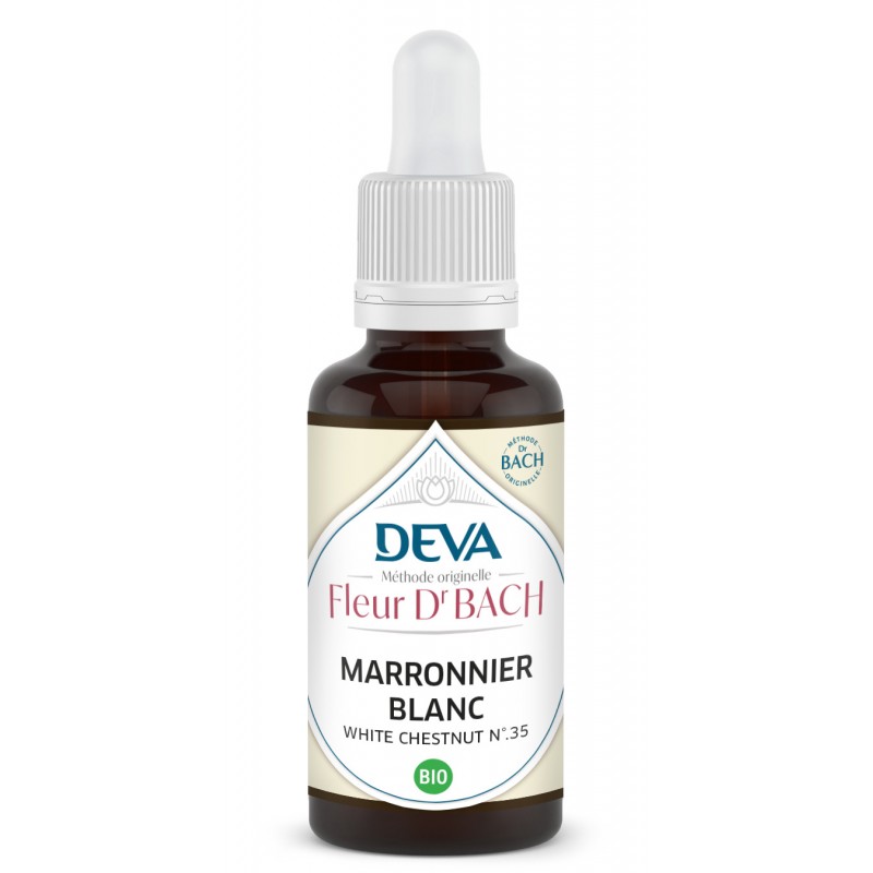 Marronnier Blanc - White chestnut n°35