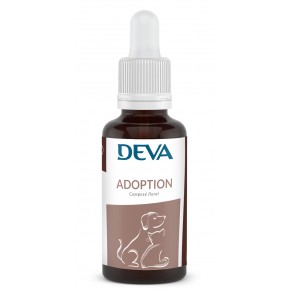 Adoption