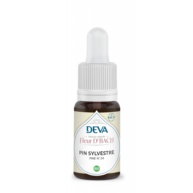 Pin Sylvestre - Pine n°24