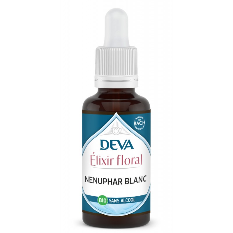 Nenuphar Blanc