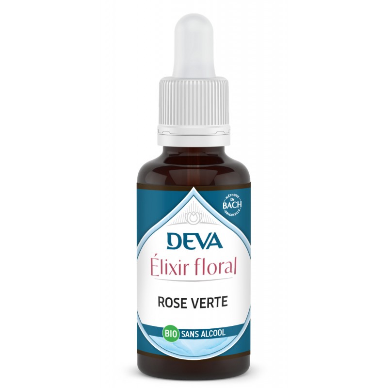 Rose verte