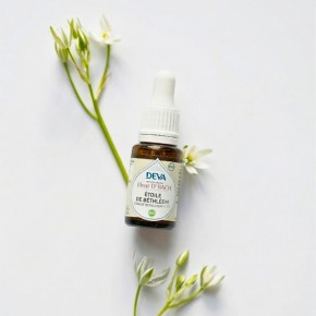 Fleur de Bach Star of Bethlehem - Etoile de Bethléem - Laboratoire DEVA