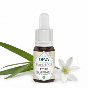 Fleur de Bach Star of Bethlehem - Etoile de Bethléem - Laboratoire DEVA