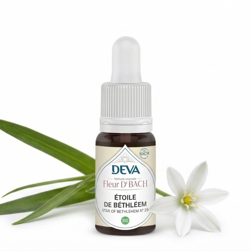 Fleur de Bach Star of Bethlehem - Etoile de Bethléem - Laboratoire DEVA