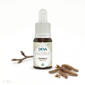 Tremble - Aspen n°2